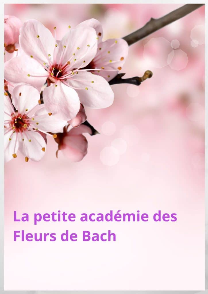 La petite académie des fleurs de Bach 