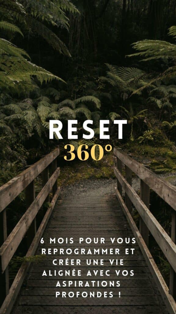 Transforme ta vie en 6 mois avec Reset 360° 